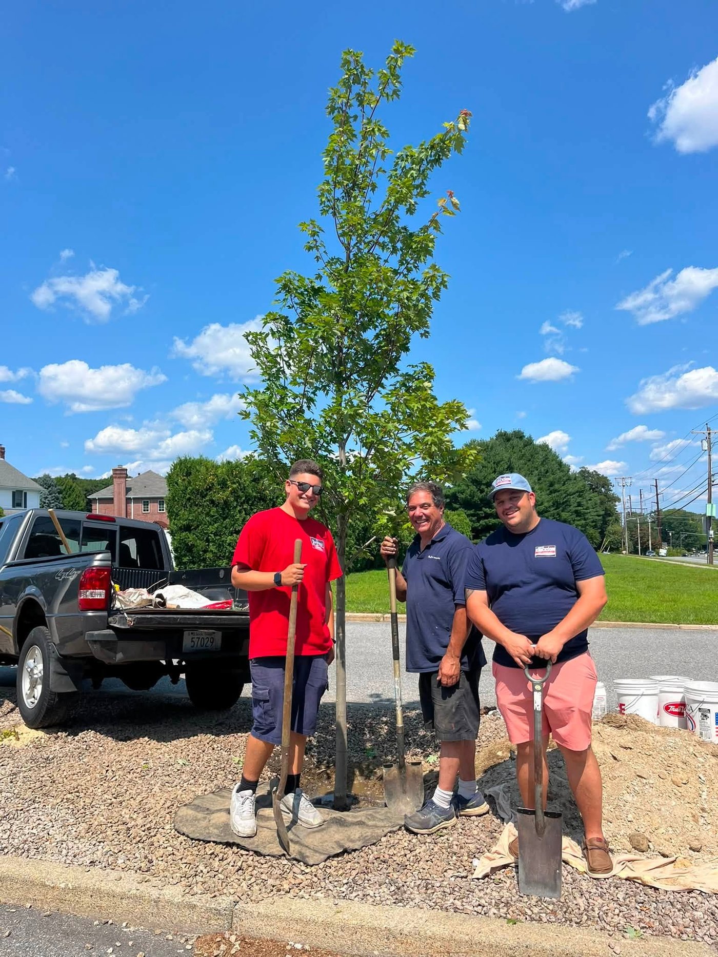Tree Planting